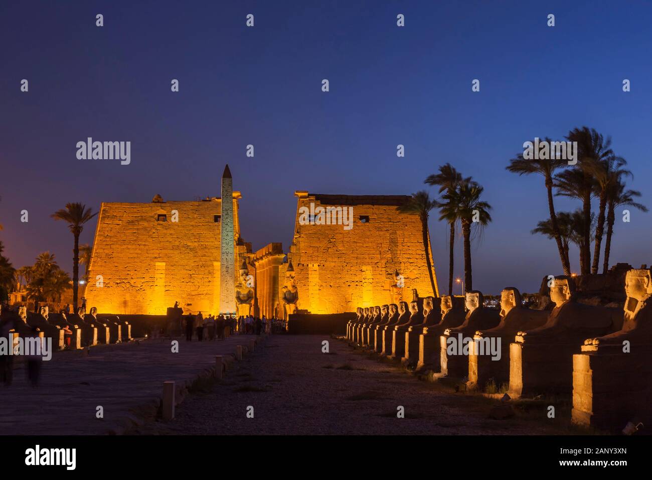 Lighting on first phylon and sphinxes avenue in evening twilight, Luxor Temple, Luxor, Egypt, North Africa, Africa Stock Photo