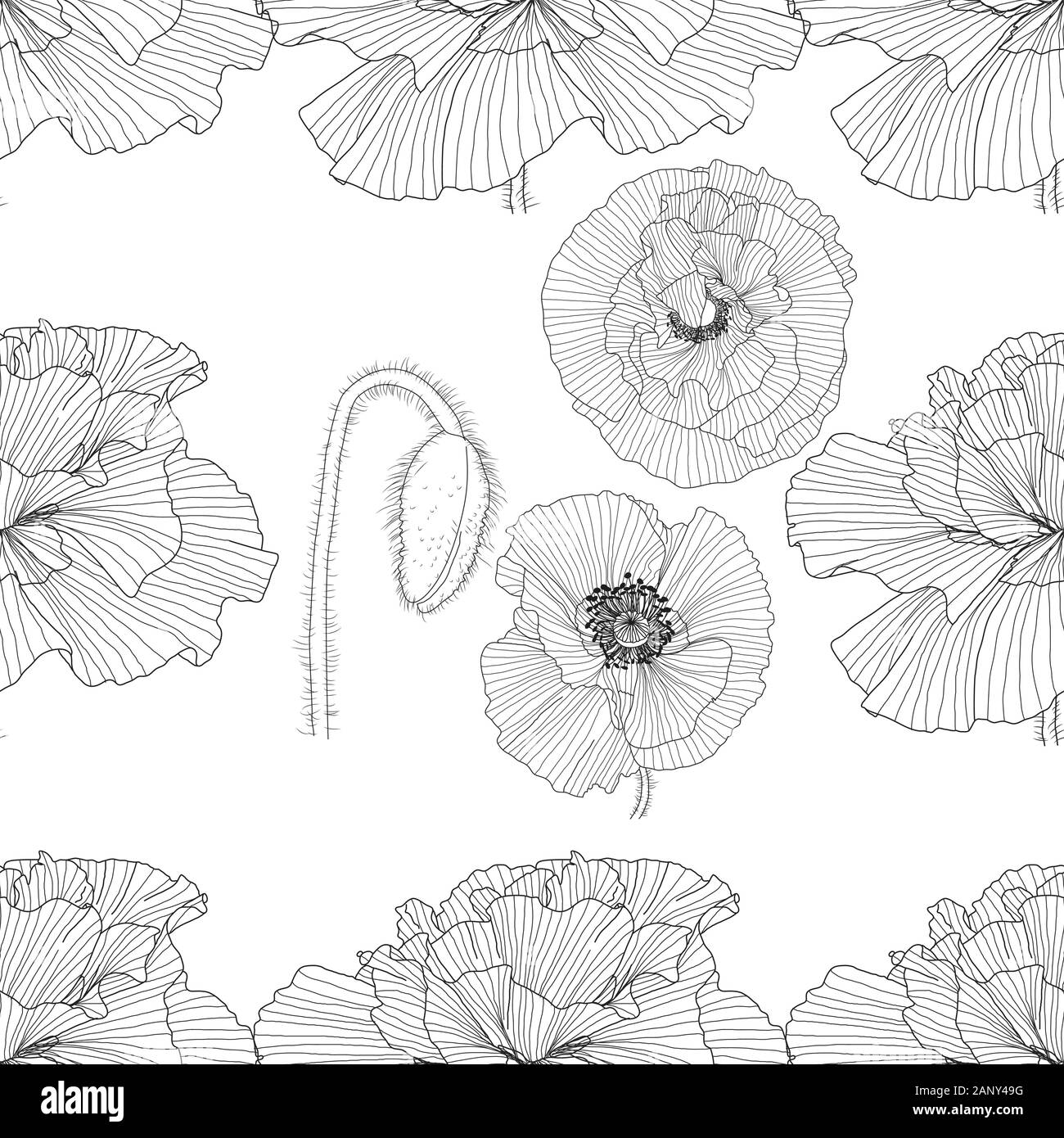 seamless pattern of black and white poppies Stock Vector Image & Art