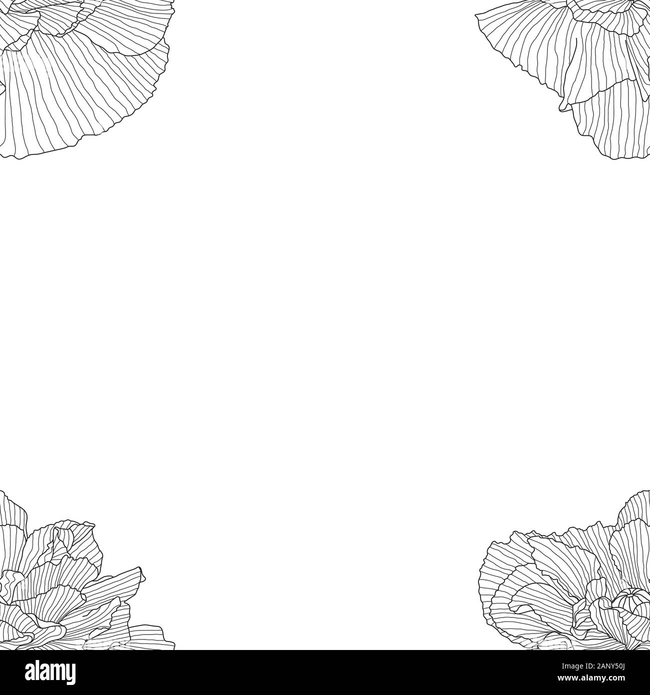 seamless pattern of black and white poppies Stock Vector Image & Art ...