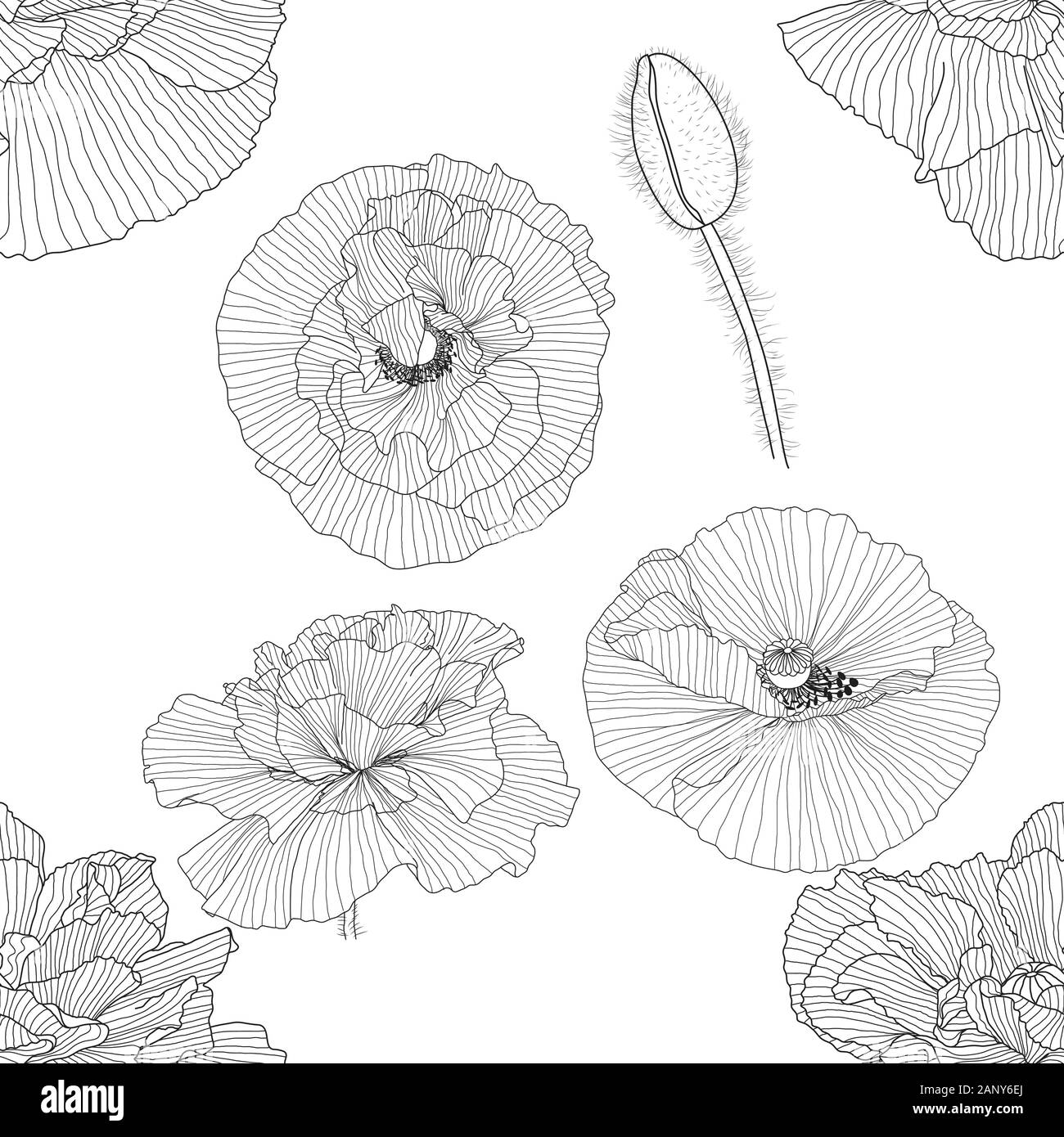 seamless pattern of black and white poppies Stock Vector Image & Art