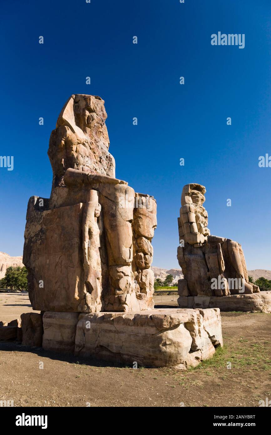 Colossi of Memnon,  massive stone statues of Amenhotep III, Luxor, Egypt, North Africa, Africa Stock Photo