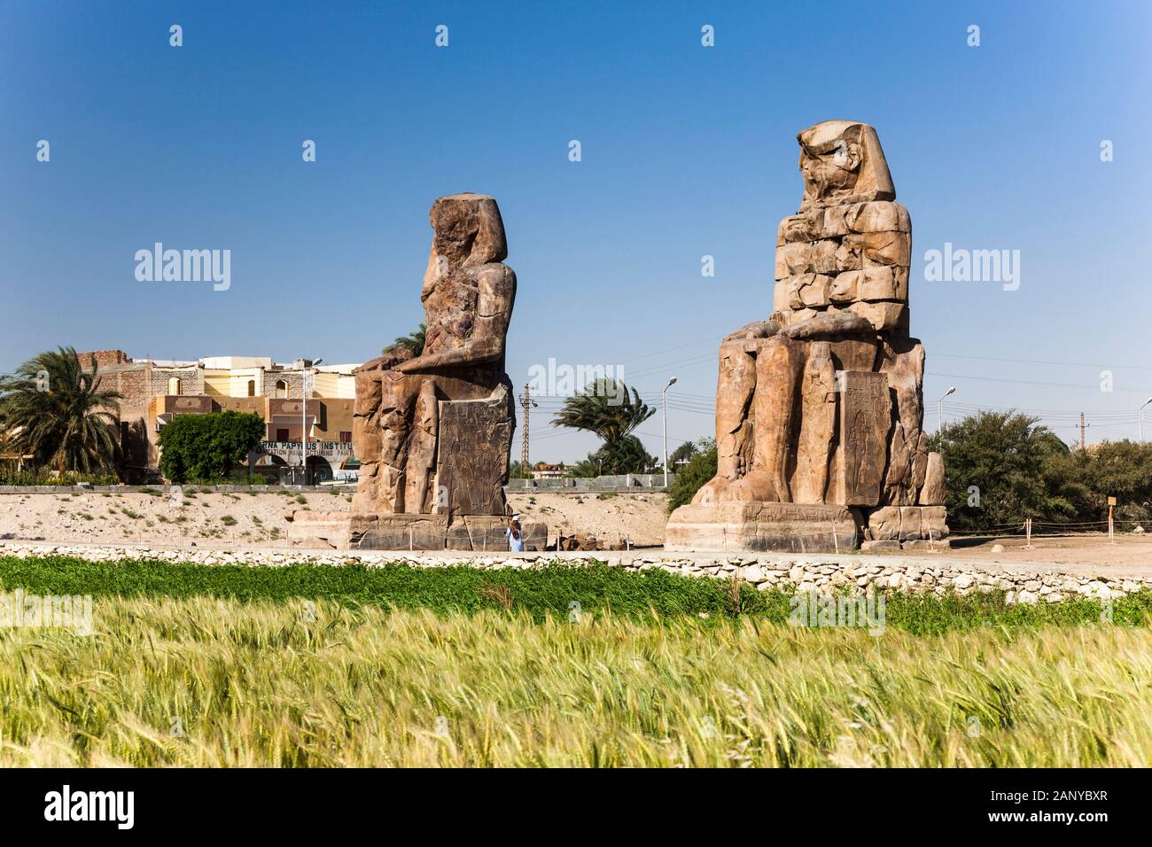 Colossi of Memnon,  massive stone statues of Amenhotep III, Luxor, Egypt, North Africa, Africa Stock Photo