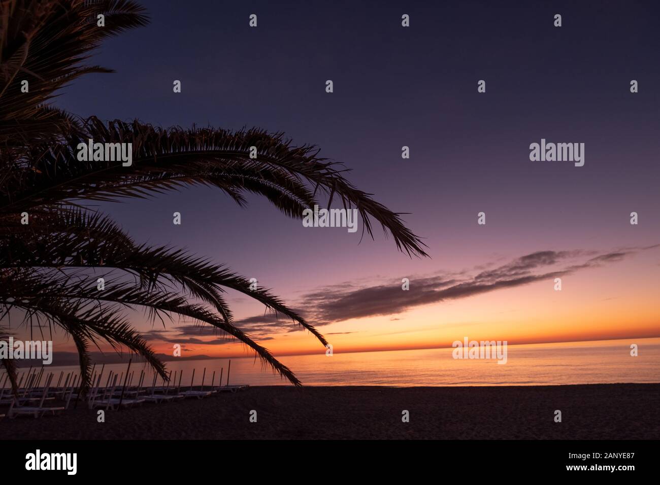 Sunrise over tree leaves hi-res stock photography and images - Alamy