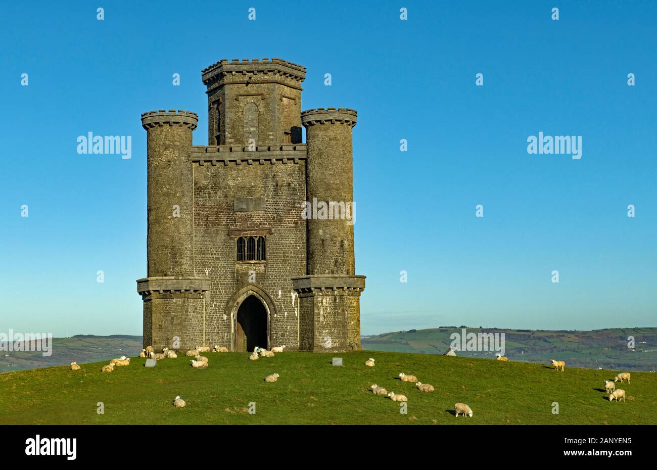 Paxtons Tower on a hill overlooking the Tywi Valley and surrounded by sheep in Carmarthenshire on a bright and sunny January day. Stock Photo