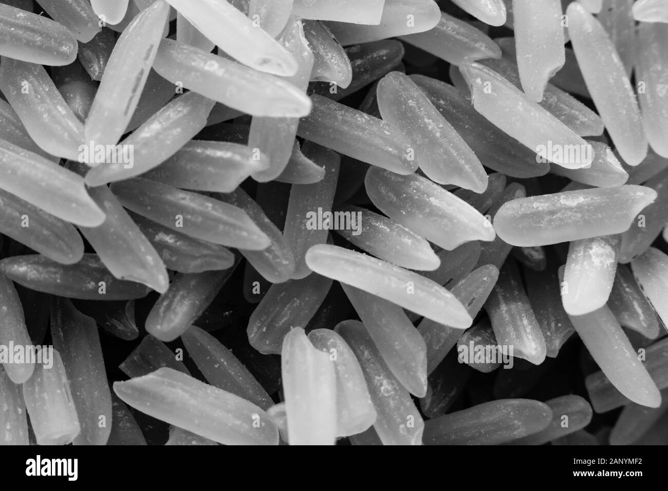Greyscale closeup shot of a lot of rice - great for a cool background ...