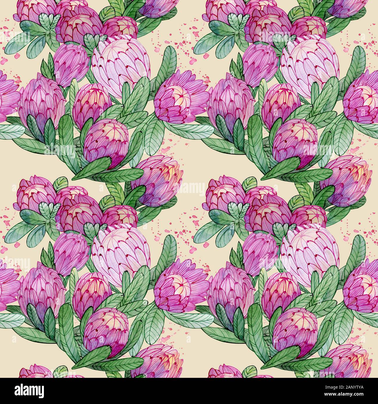 Protea Pattern Seamless watercolor pattern with protea flowers. Blossom illustration ...