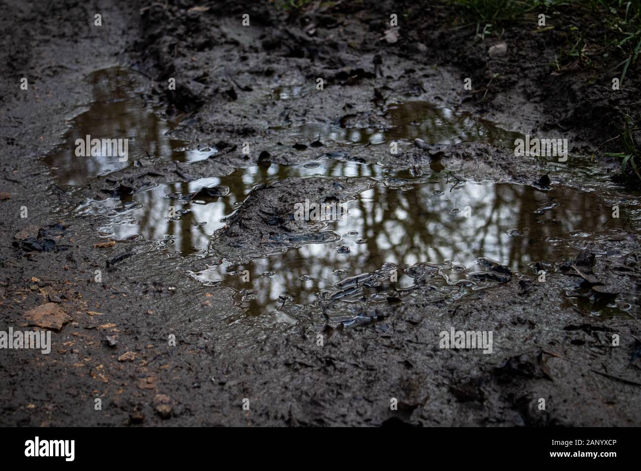 a puddle on a pathway Stock Photo