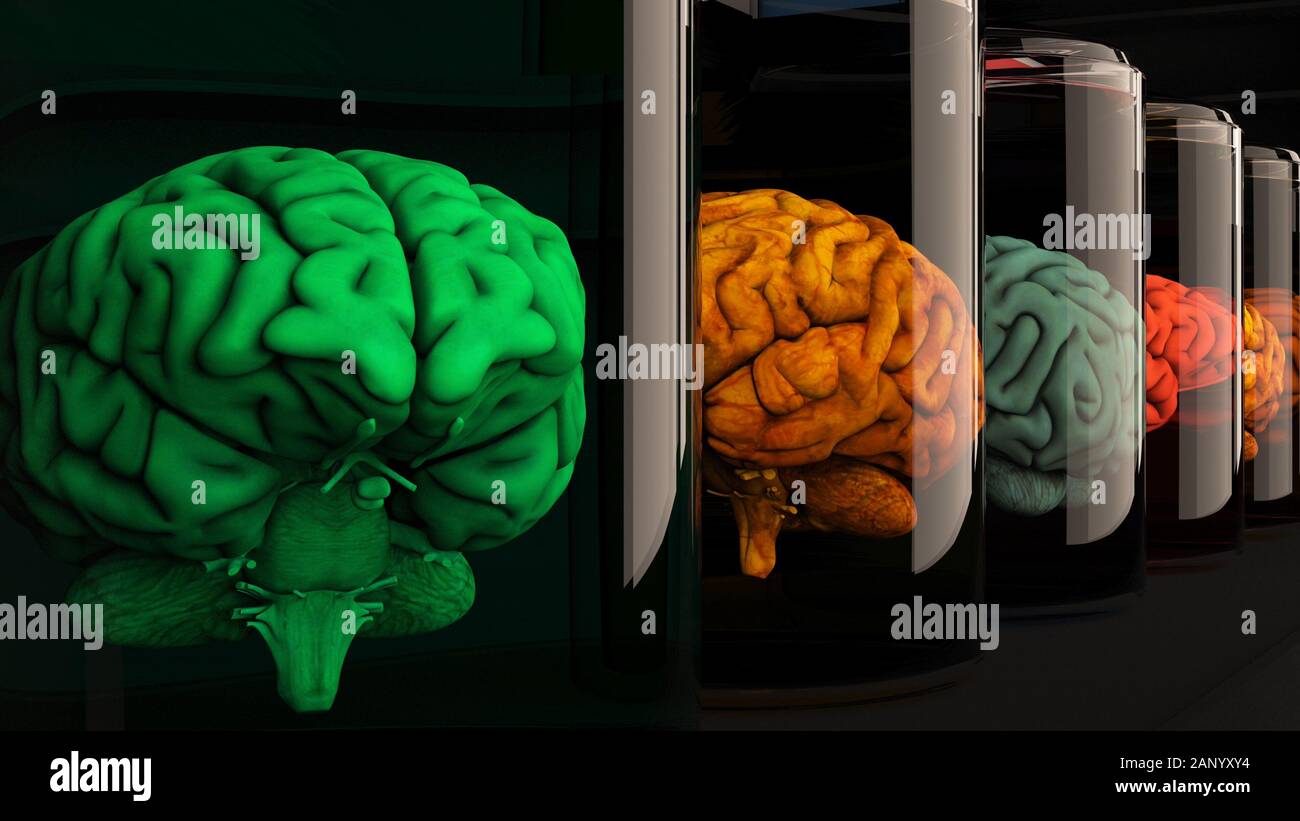 Human Brains in Science Laboratory Glasses 3D Illustration Stock Photo ...
