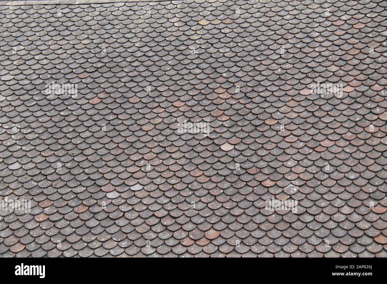 A Fish Scale Design Slate Tiles House Roof. Stock Photo