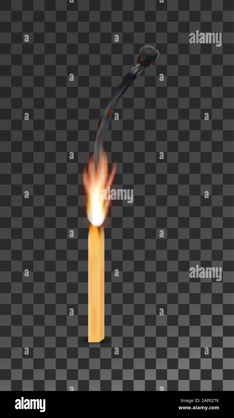 burning charred wooden match with flame vector illustration isolated on ...