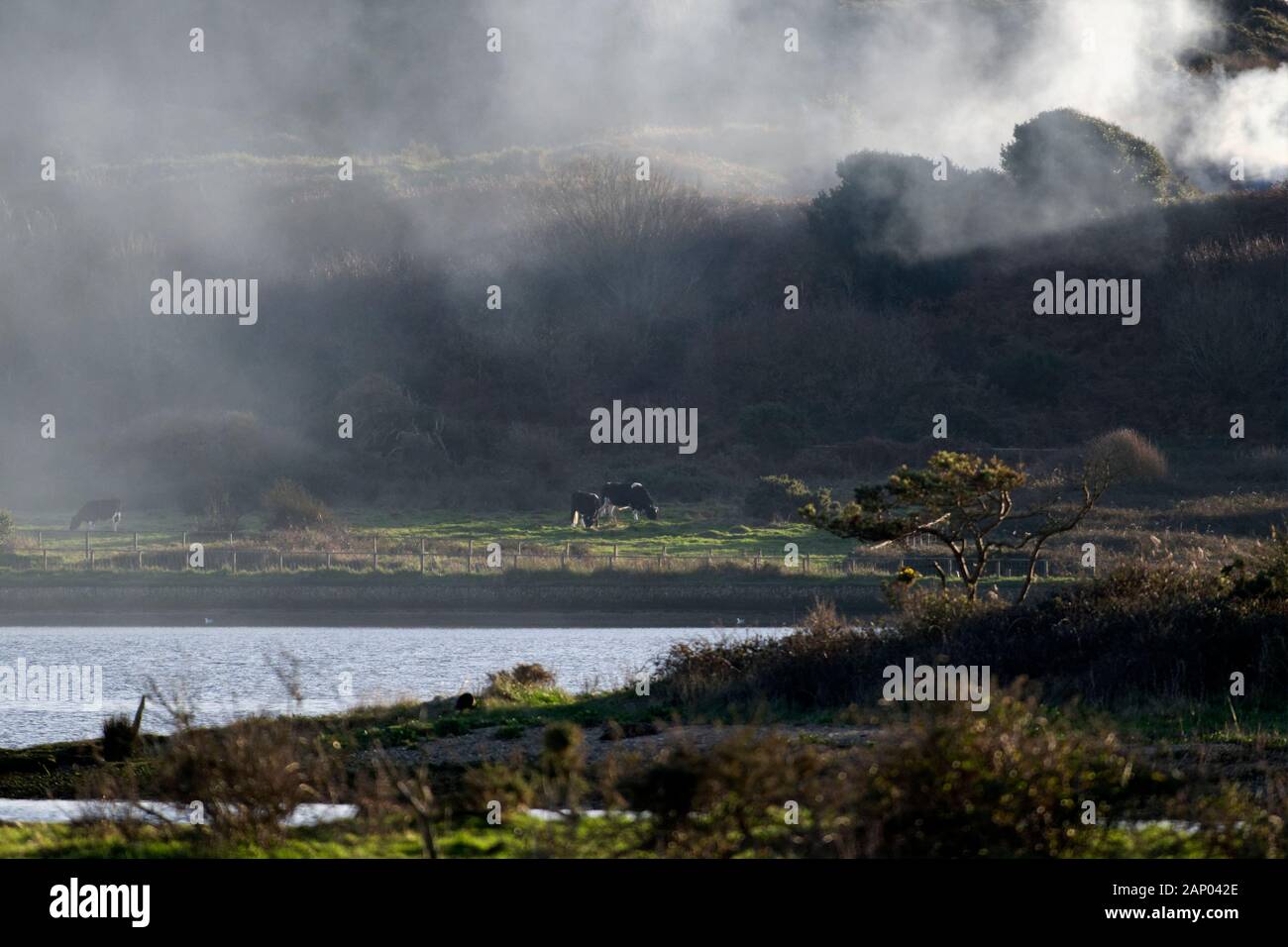 Smoke from a bonfire drifts across Christchurch Harbour Stock Photo