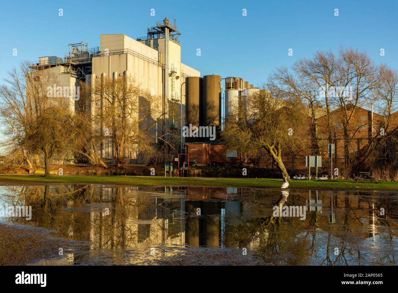Whitworths Mill, a Victorian building with modern extensions, on the banks of the River Nene in