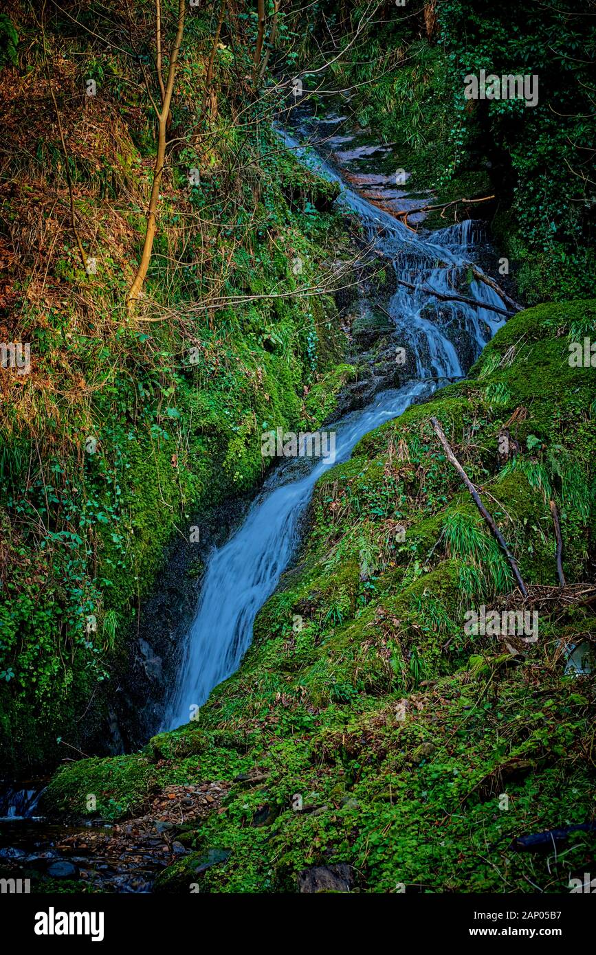 Glengoyne Distillery (GDST) Stock Photo