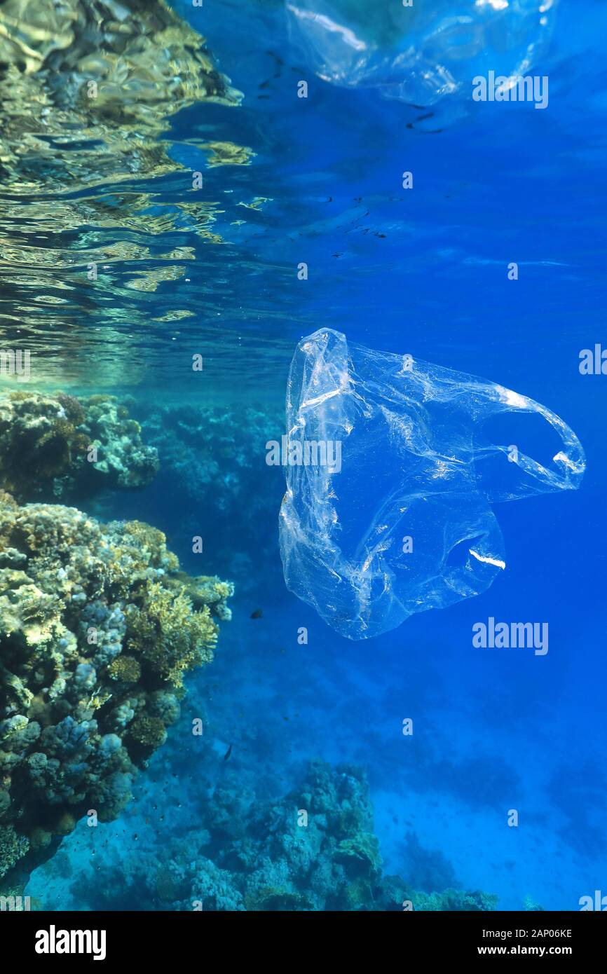 Plastic pollution in the ocean. Plastic bag floating underwater in the