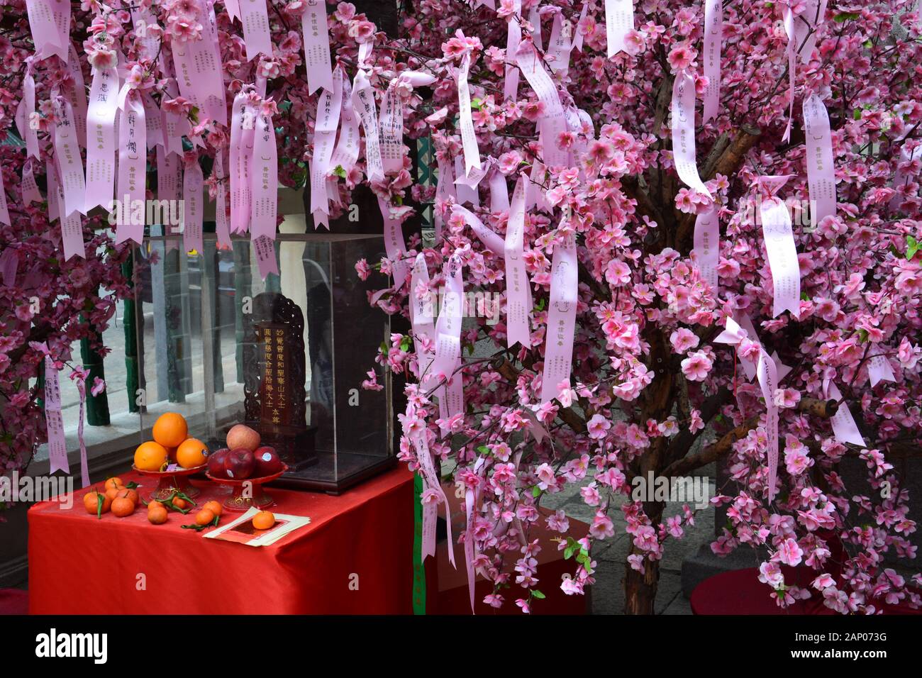 Close up of messages on the flowering wishing tree at the Man Mo Temple in Hong Kong. Stock Photo