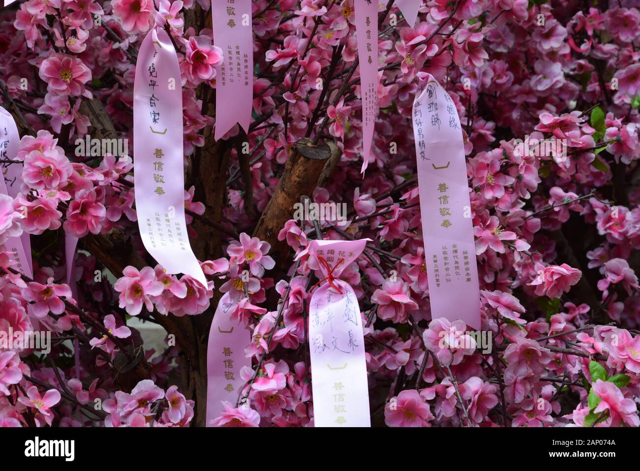 Close up of messages on the flowering wishing tree at the Man Mo Temple in Hong Kong. Stock Photo
