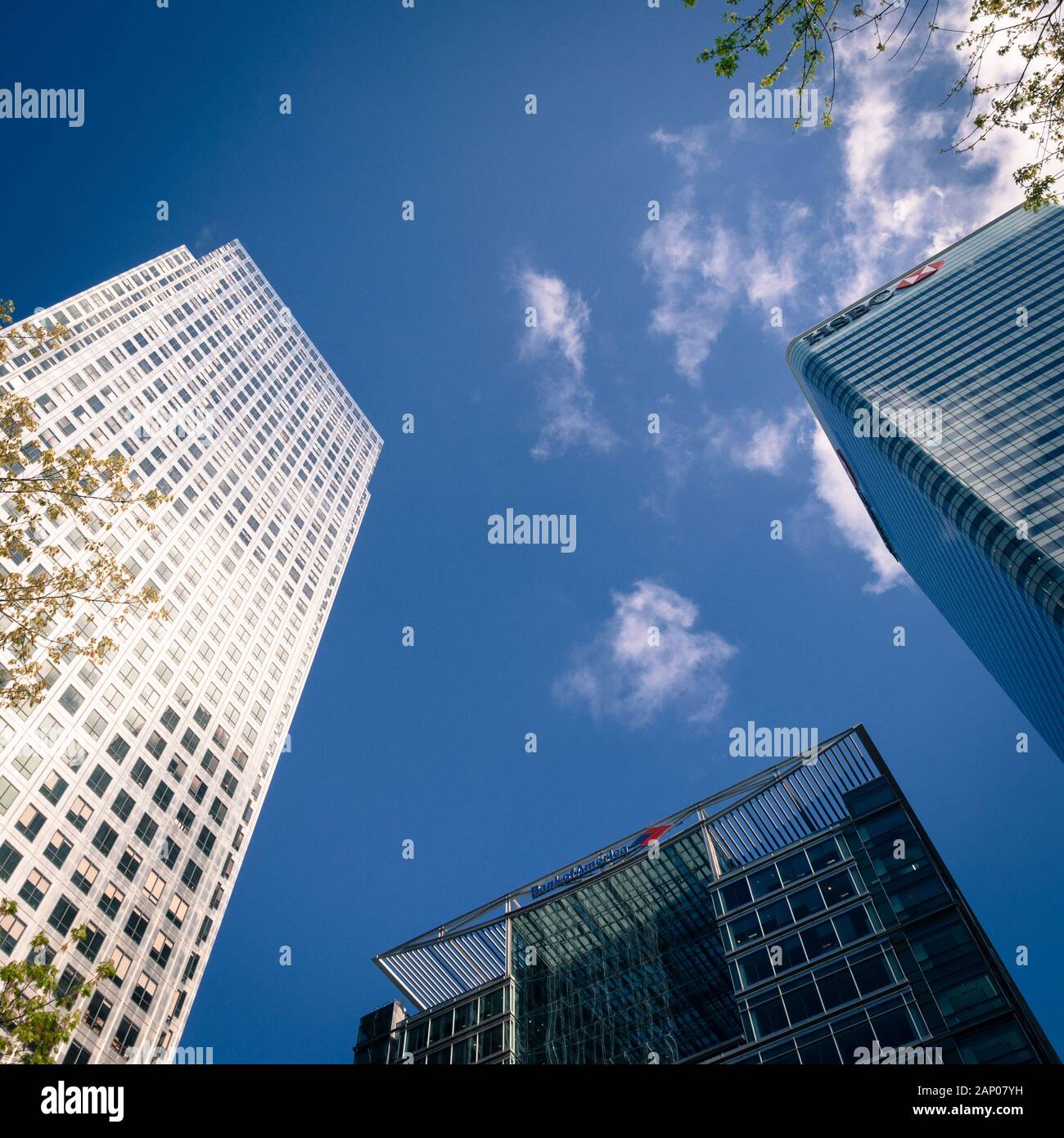 Docklands Financial Giants. Low, wide angle view of banking skyscrapers including Canary Wharf, HSBC and Bank of America. Stock Photo