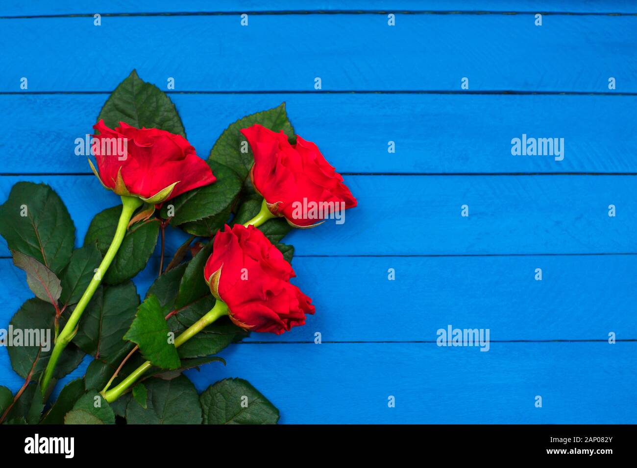 Wooden table roses top view hi-res stock photography and images - Alamy