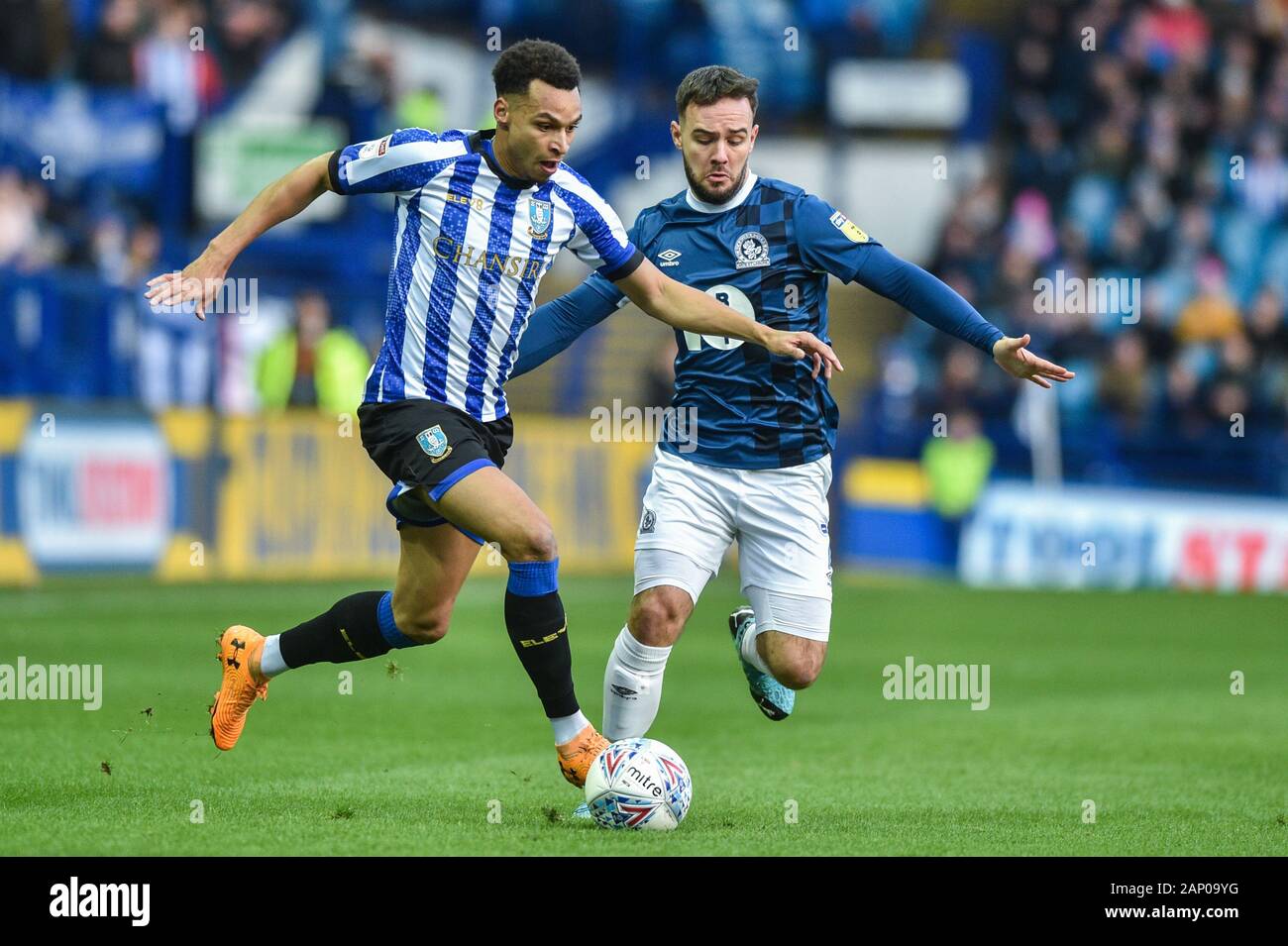 18th January 2020, Hillsborough, Sheffield, England; Sky Bet ...
