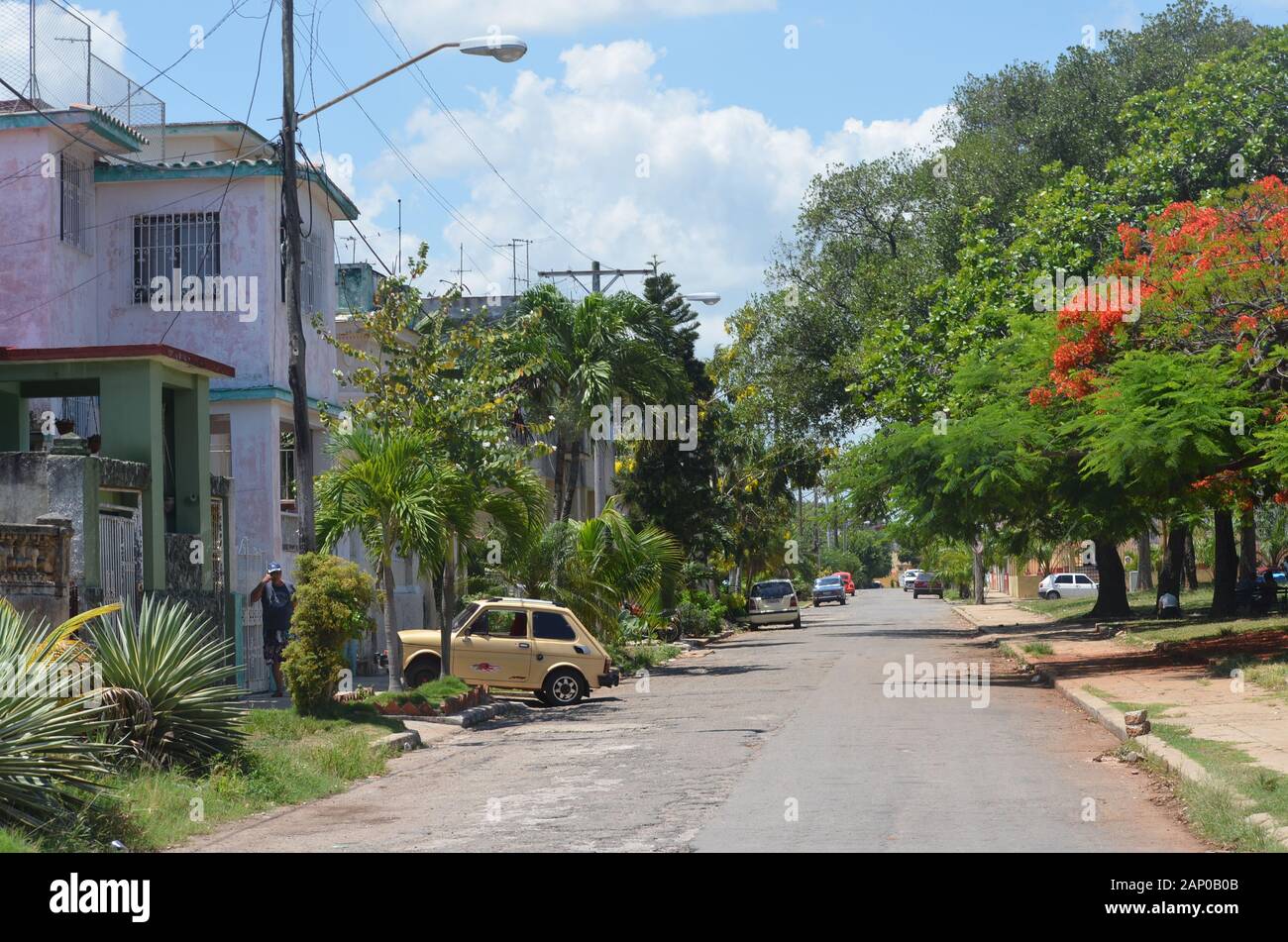 Leafy Vedado and Playa, quiet residential districts in the modern part of Havana (Cuba) Stock Photo