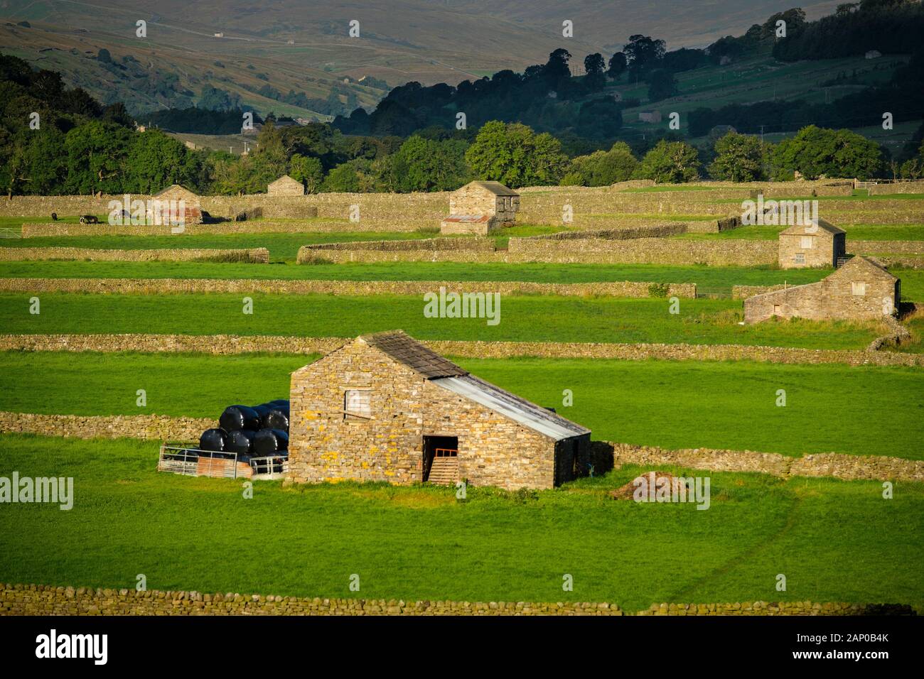 Stone walls and barns at Gunnerside in Swaledale. Stock Photo