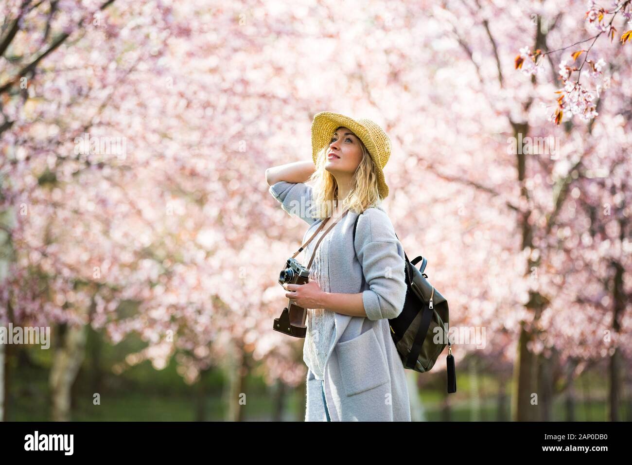 Portrait of beautiful woman in straw hat traveling in beautiful park with cherry trees in bloom, taking photos on retro camera. Tourist with backpack Stock Photo