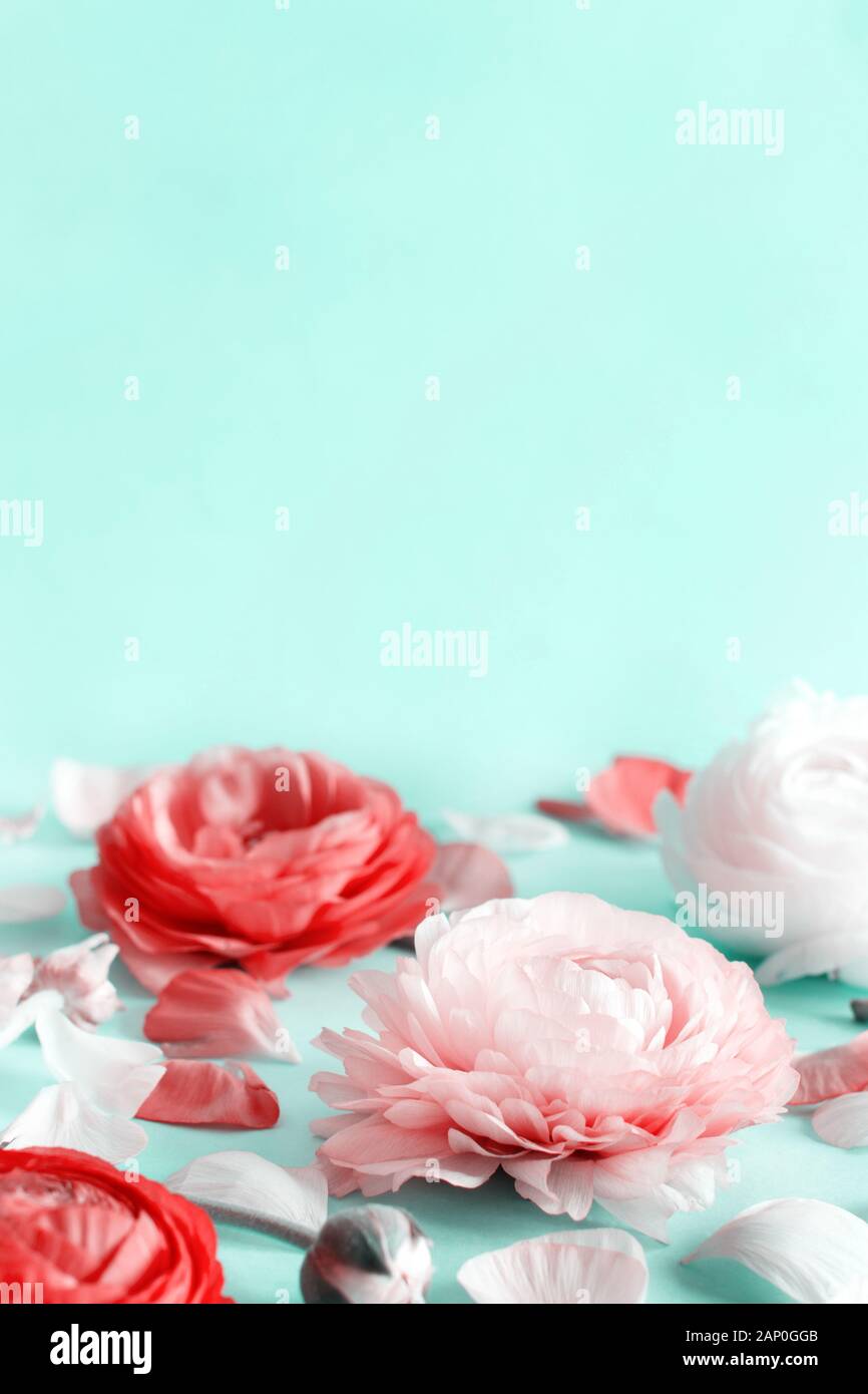 Pink flowers on a light green background copy space Stock Photo