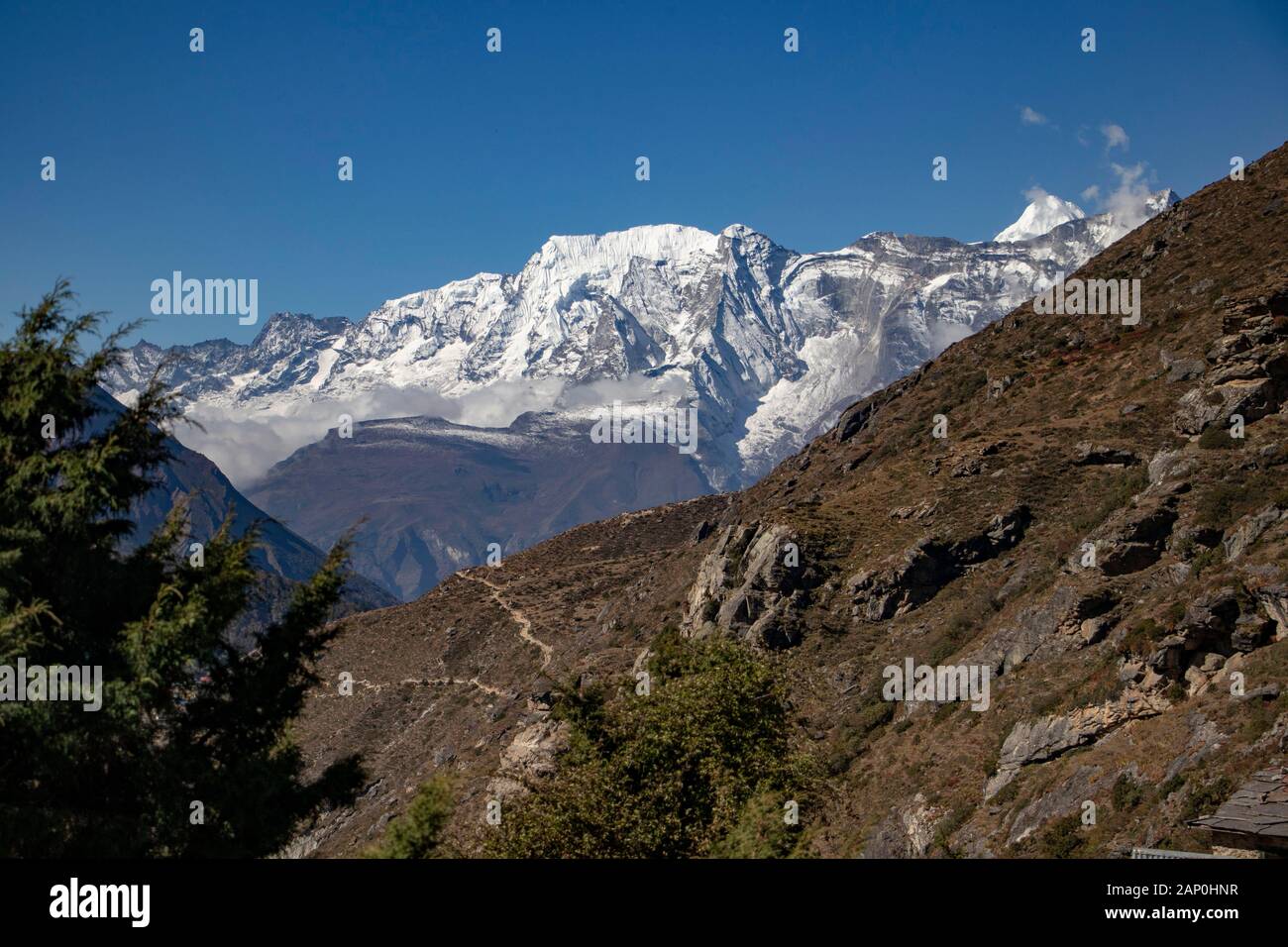 Tree, valley and mountain range in the Himalayan area in Nepal Stock Photo