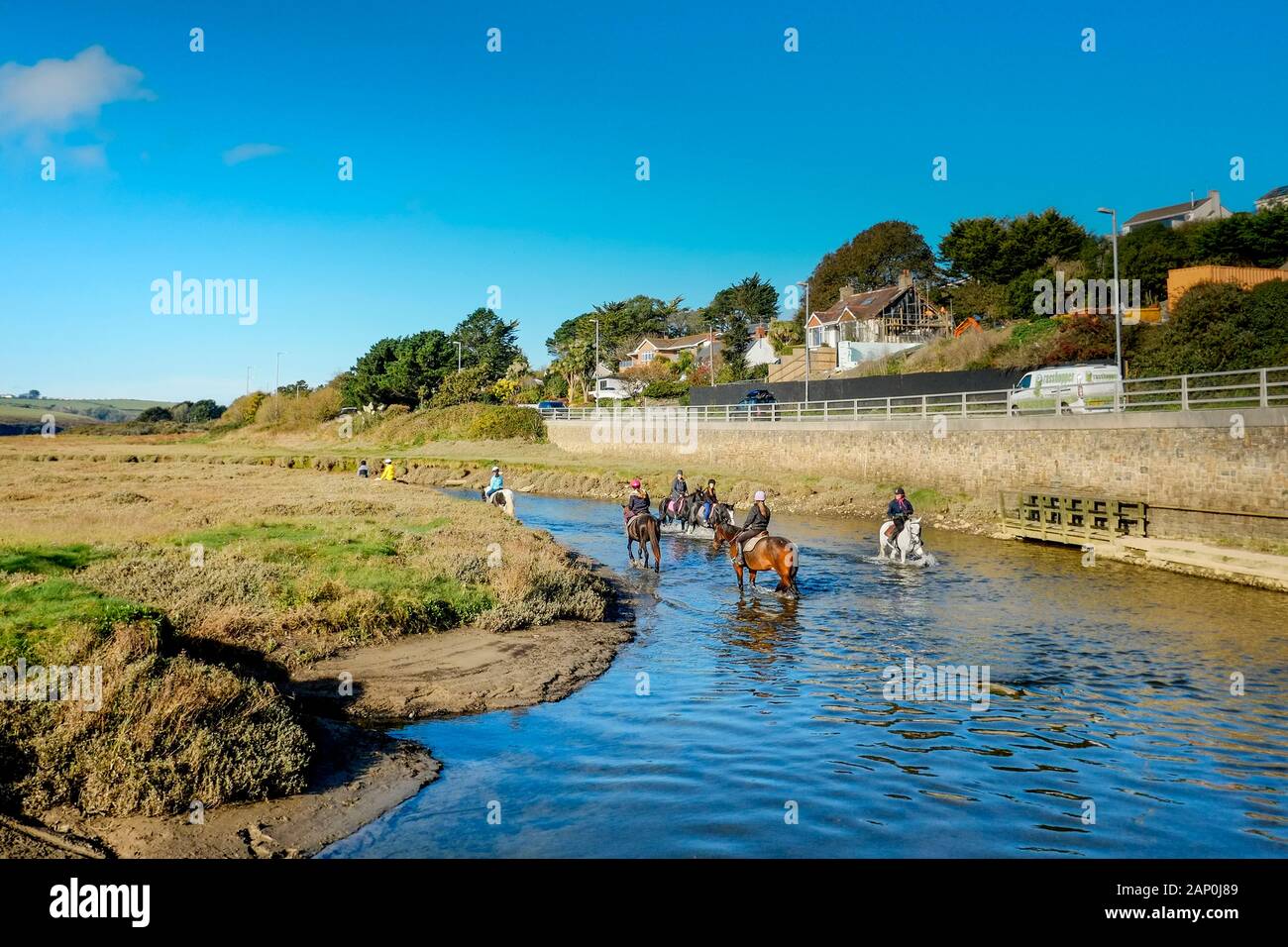 Pony trekking at low tide on the Gannel Estuary in Newquay in Cornwall. Stock Photo