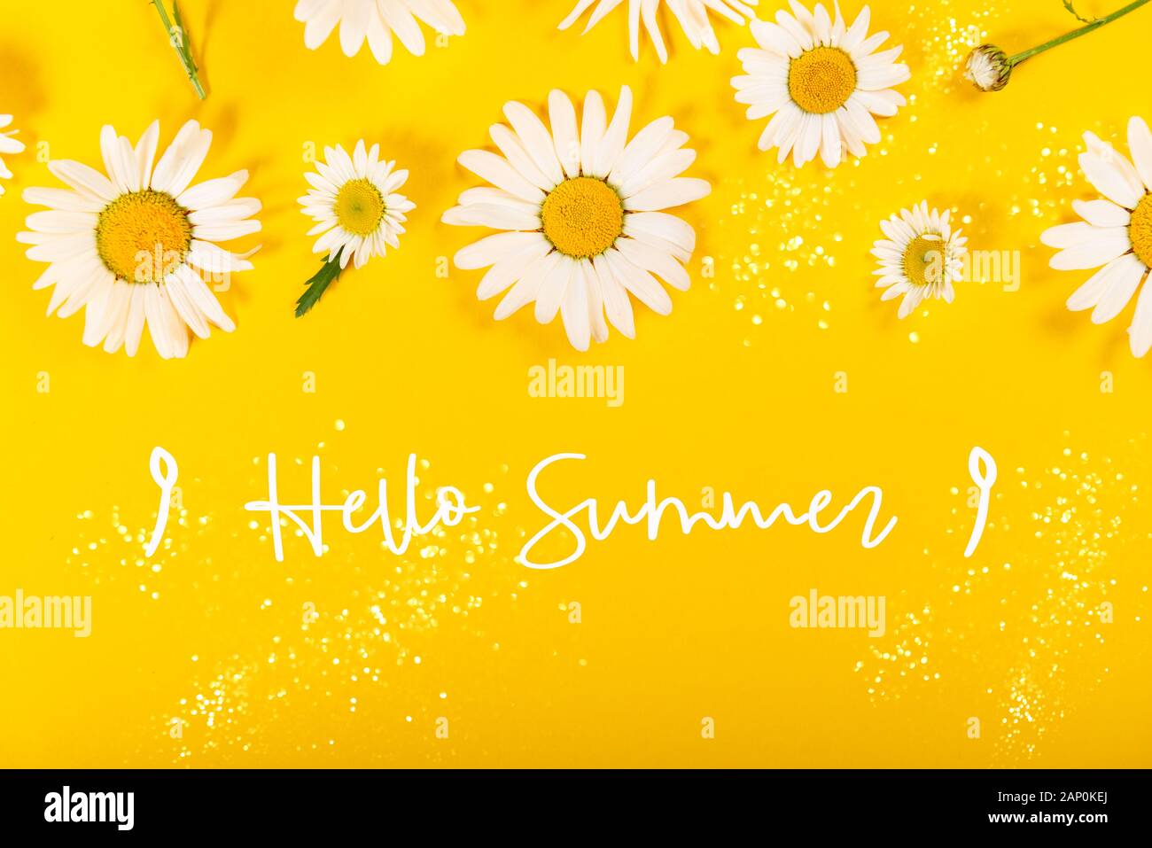 Hãy chào đón mùa hè với một mẫu họa tiết tươi sáng và đầy màu sắc! Họa tiết hoa cúc dại đáng yêu sẽ mang đến cho bạn cảm giác vui tươi và năng động. Hãy xem ngay để cảm nhận sự tươi mới và sự ấm áp của mùa hè.