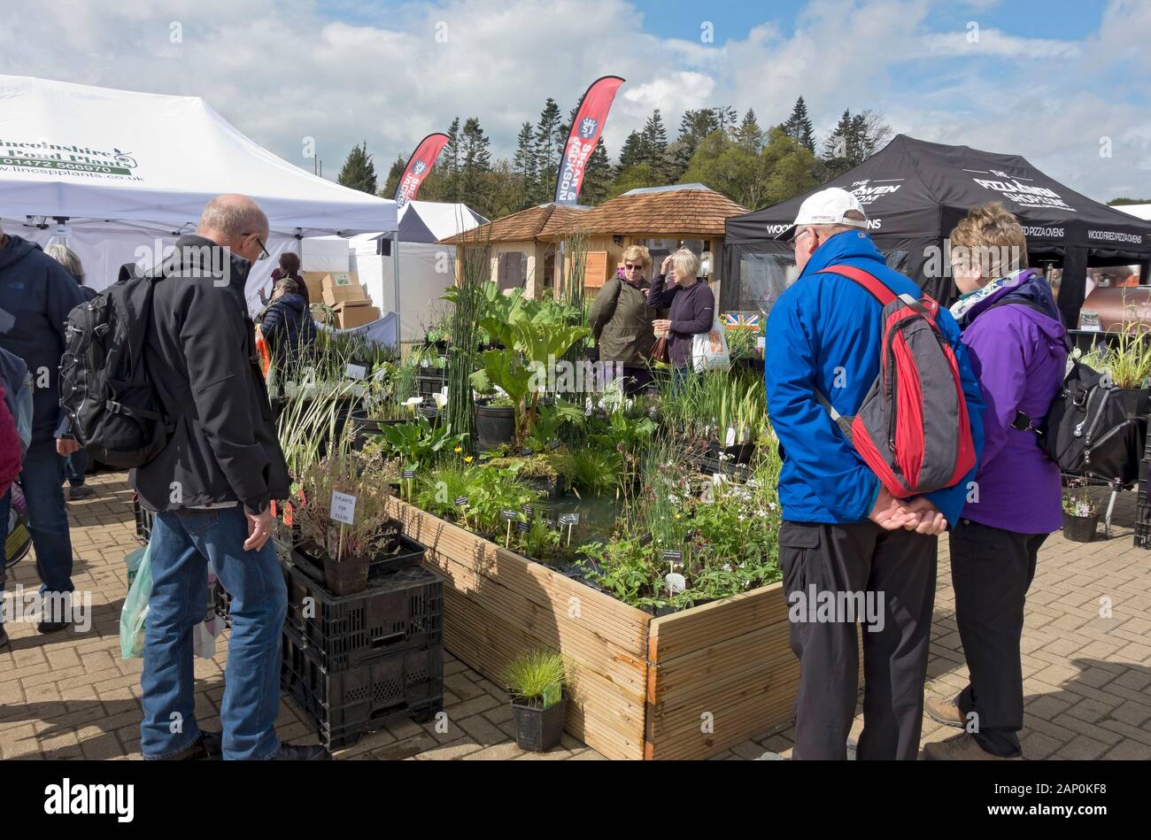 People looking at plants on a stall at the Spring Flower Show. Stock Photo
