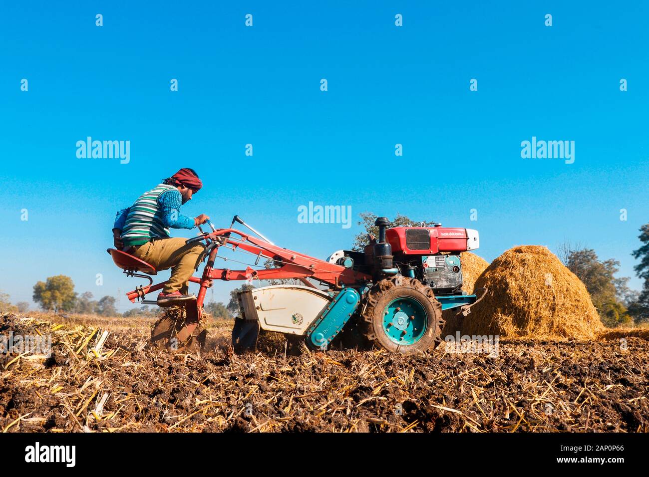 Indian farmer man driving small tractor for soil cultivation and wheat planting. Stock Photo