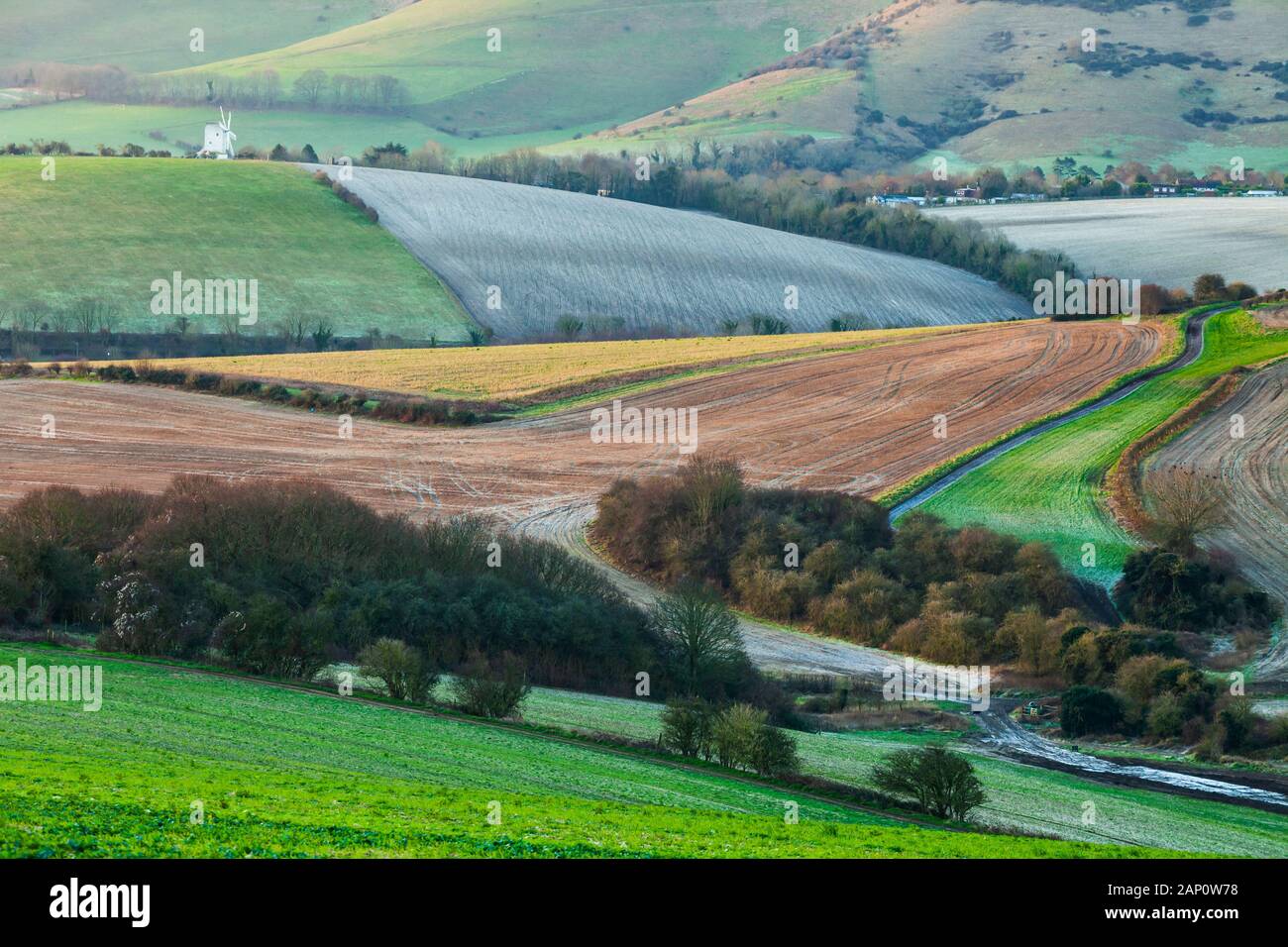 Winter dawn in South Downs National Park, East Sussex, England. Stock Photo