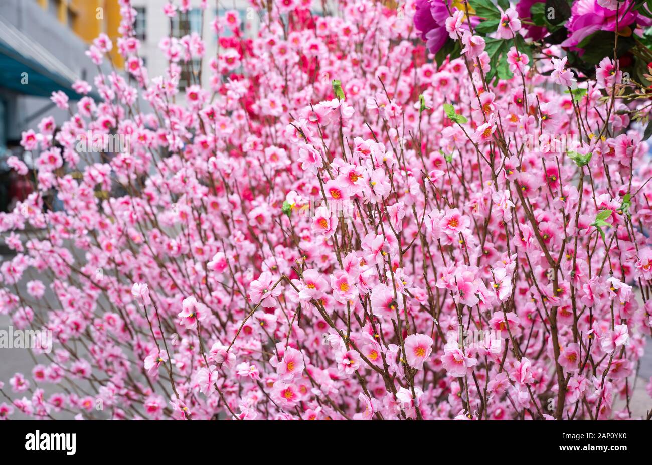 artificial peach blossoms on branch Stock Photo Alamy