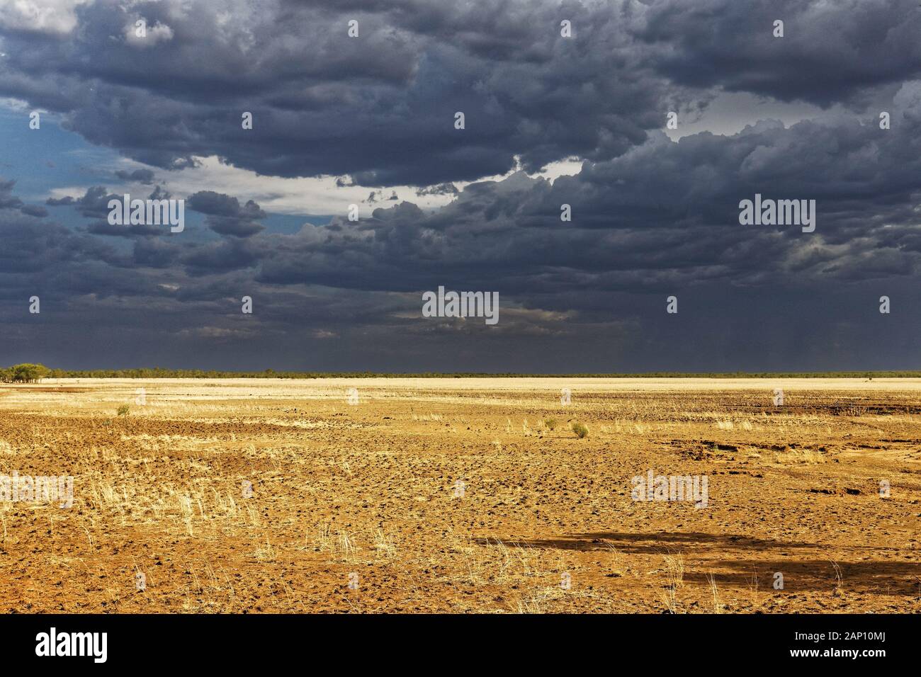 Savannah landscape with stormy sky, West Kimberley, Western Australia | usage worldwide Stock Photo
