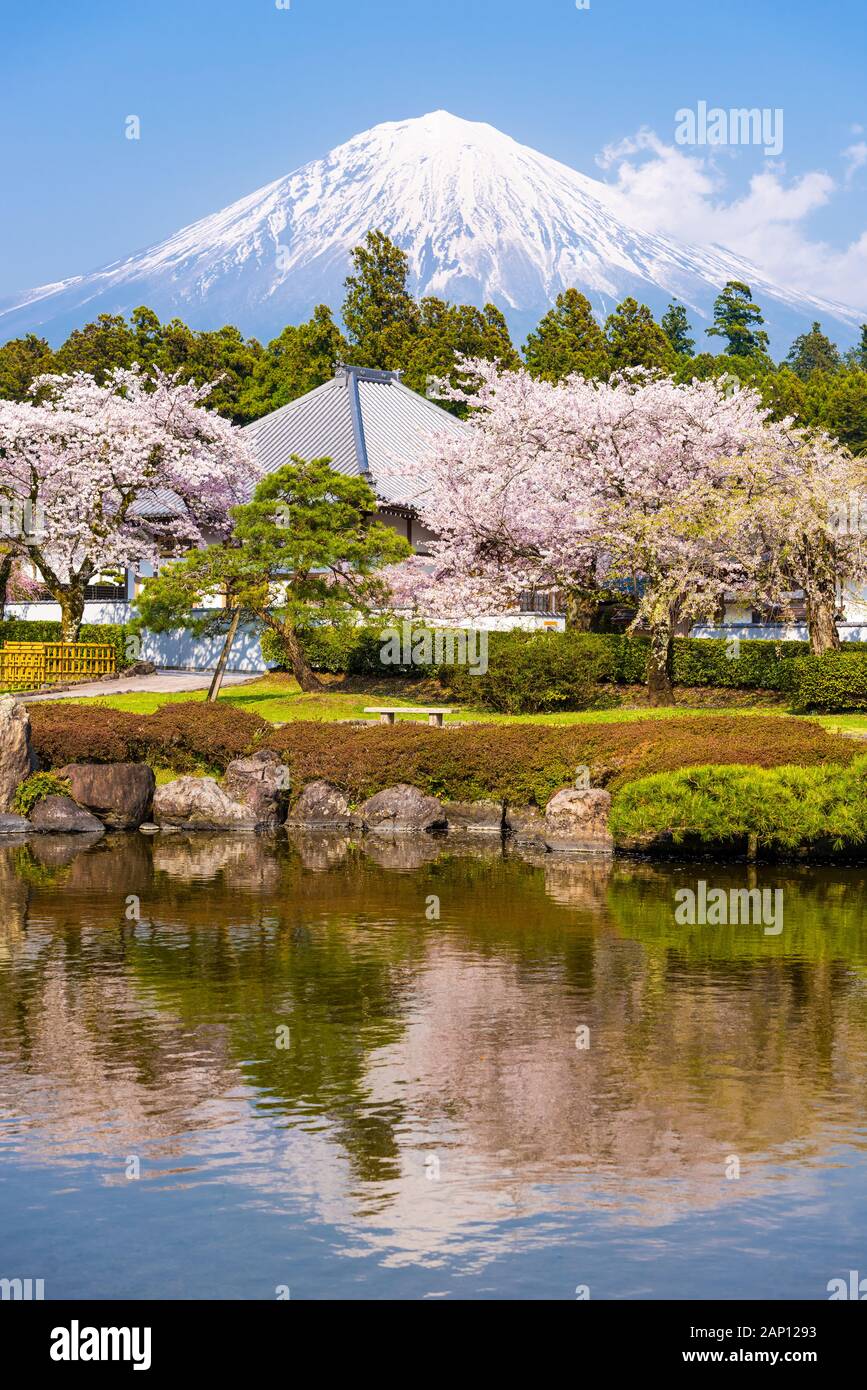 Fujinomiya, Shizuoka, Japan with Mt. Fuji in spring. Stock Photo
