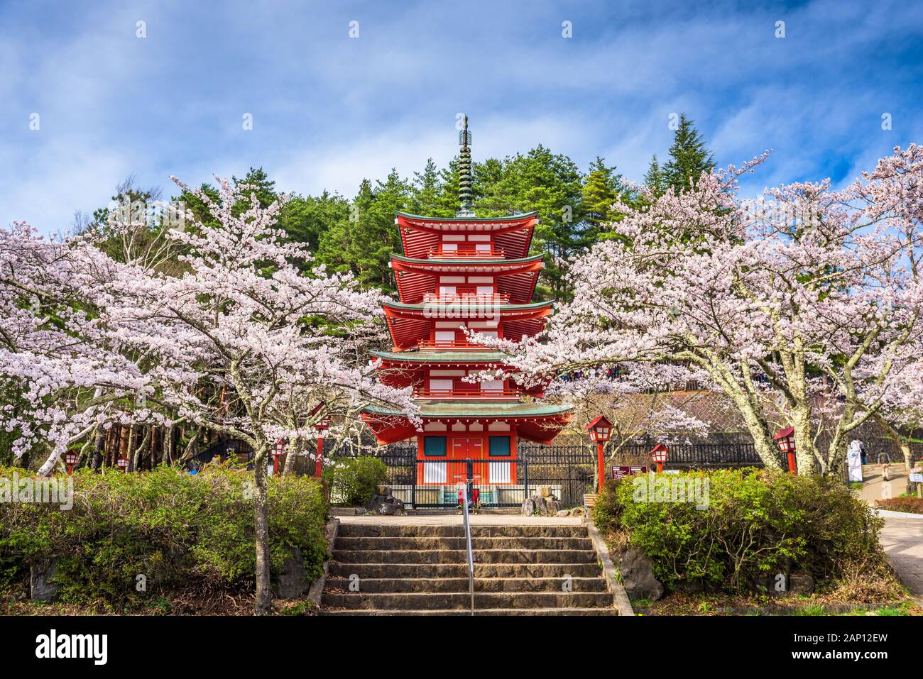 Fujiyoshida, Japan at Chureito Pagoda in Arakurayama Sengen Park during spring cherry blossom season. Stock Photo