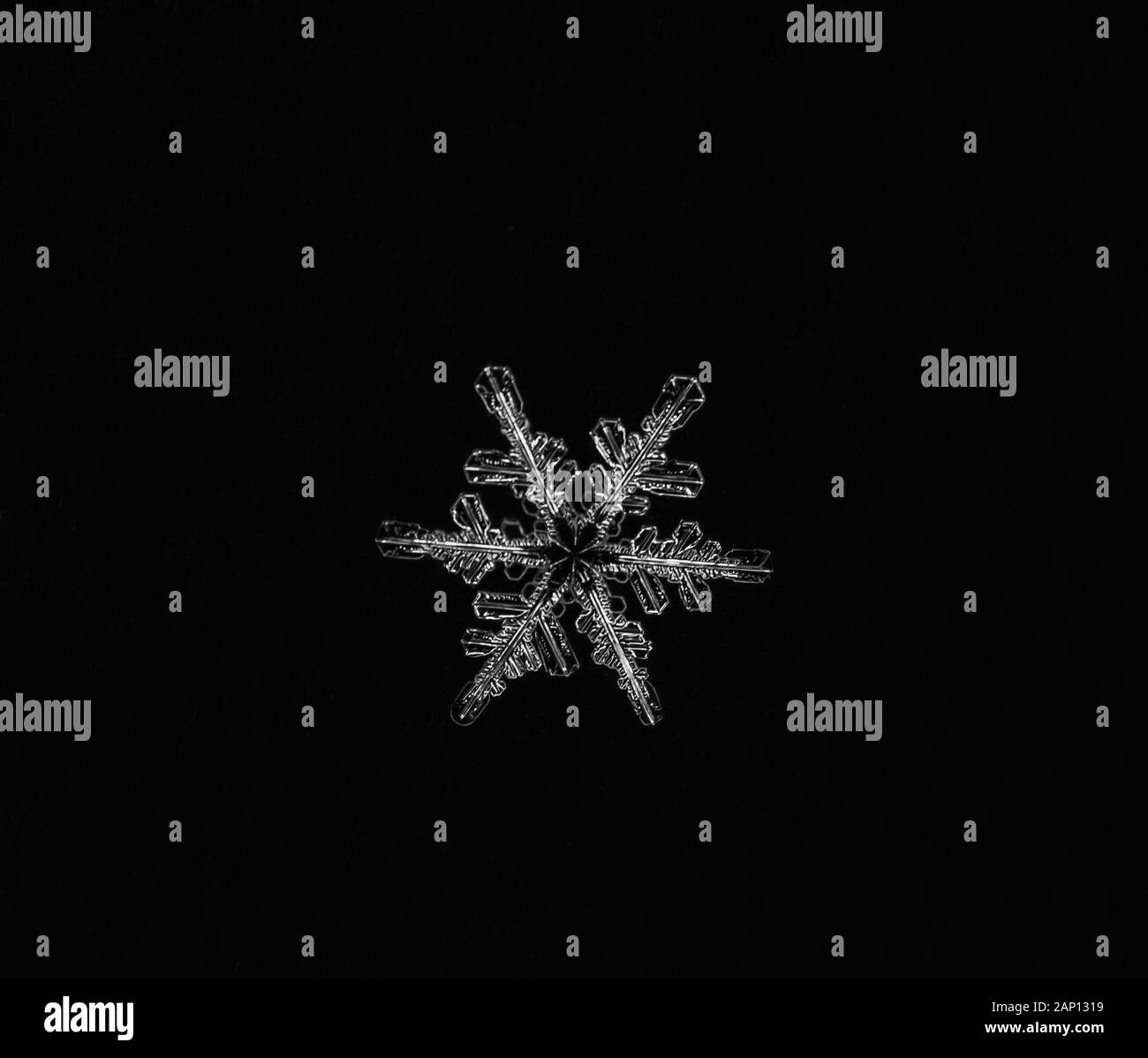 Snowflake macro,snow crystal Stock Photo