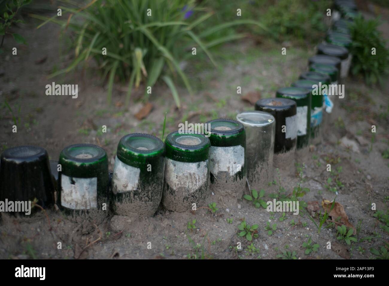 glass bottles in the form of a decorative fence. Glass contamination. Glass waste in nature. Recycled glass Stock Photo