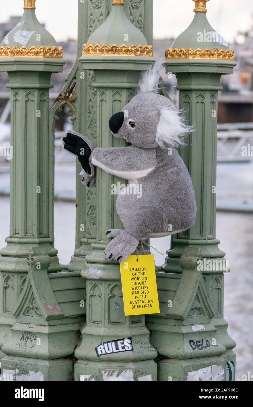 Animal change hi hi-res stock photography and images - Alamy