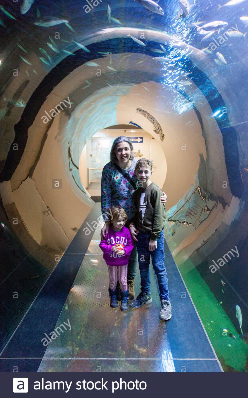 Haus Des Meeres Aquarium A Former German World War Two Anti