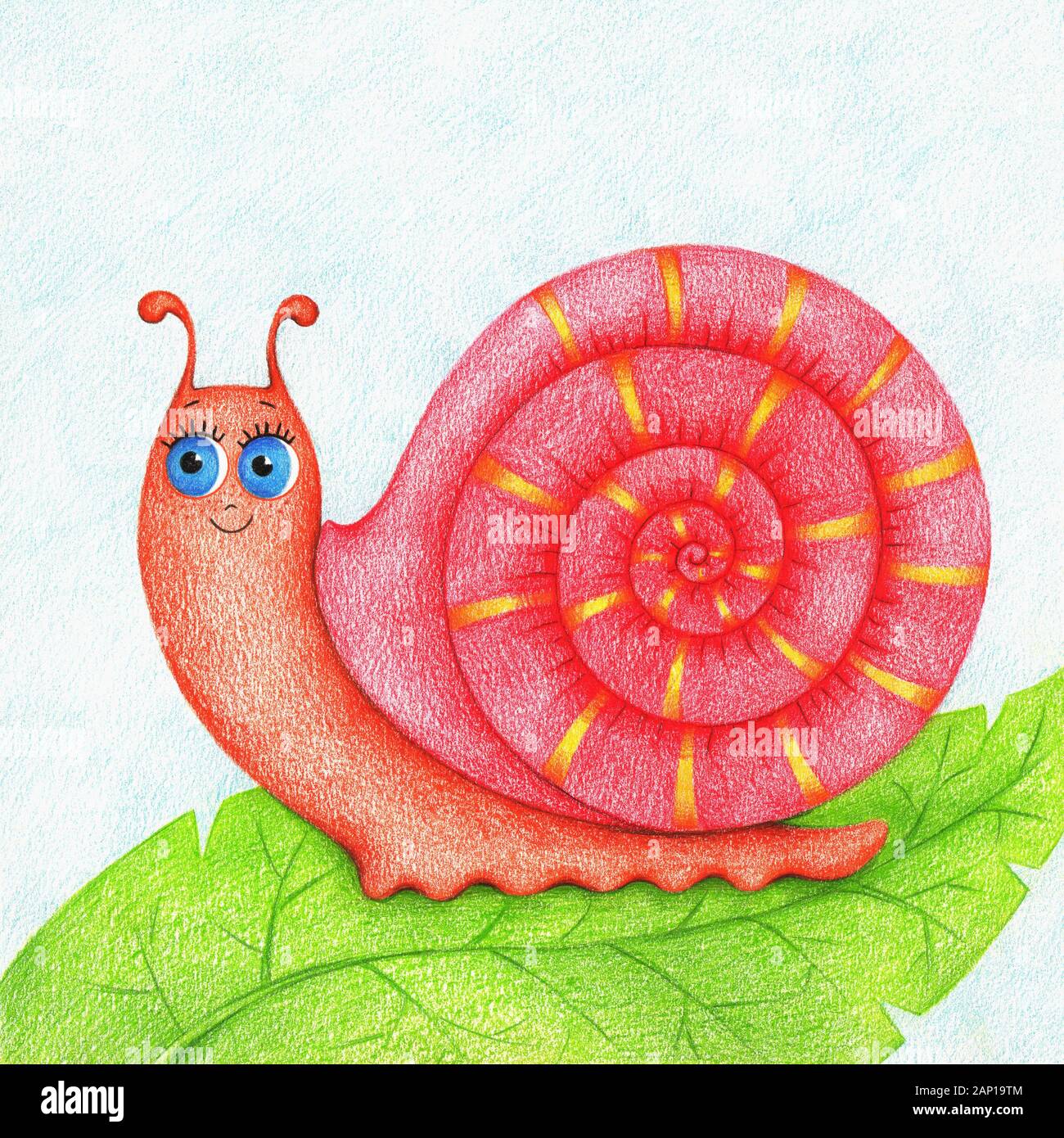 Hand drawn illustration of snail for kids Stock Photo Alamy