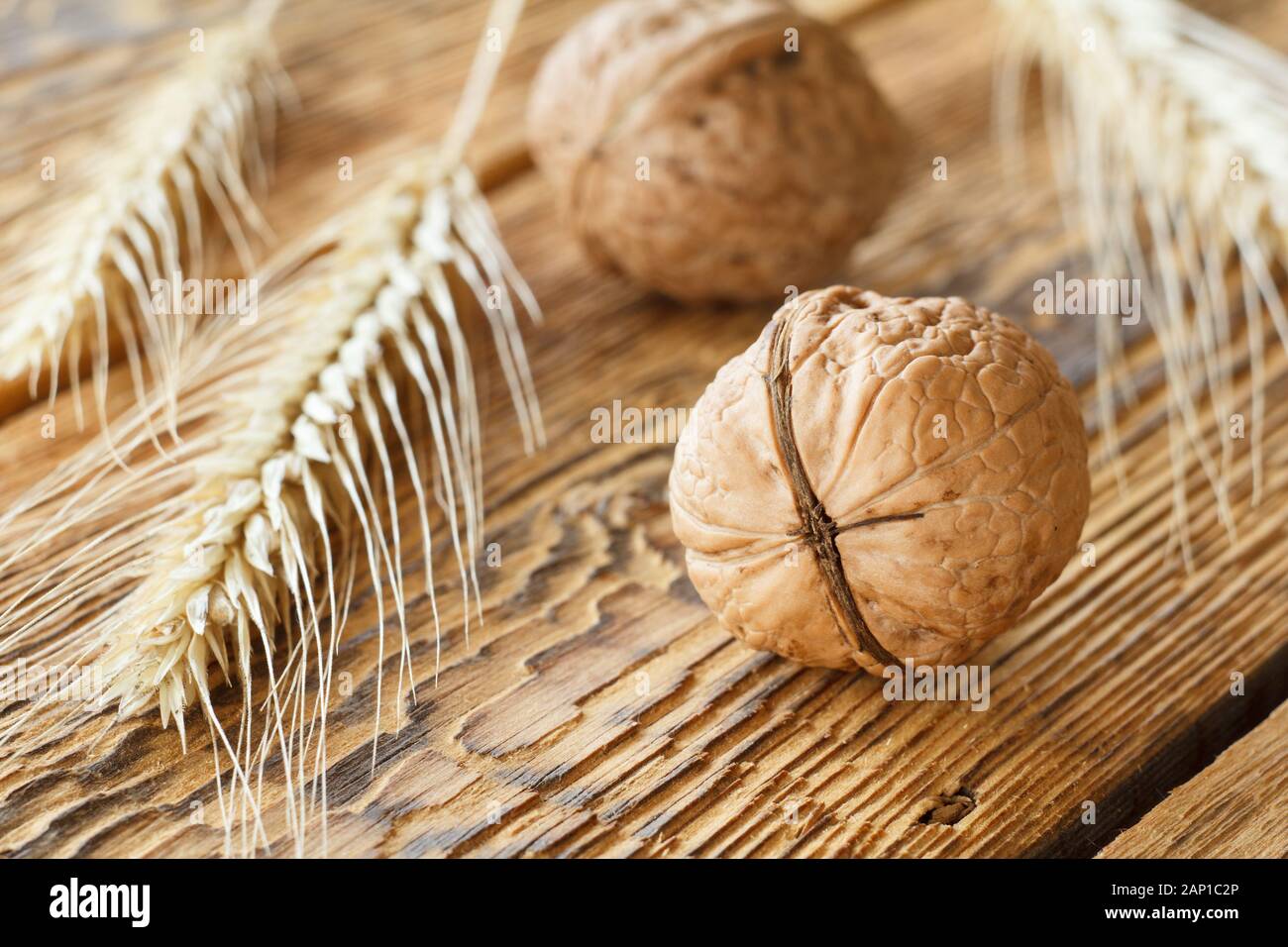 Close-up walnuts and wheat ear on old wooden board. Shallow depth of field. Focus on a front walnut. Stock Photo