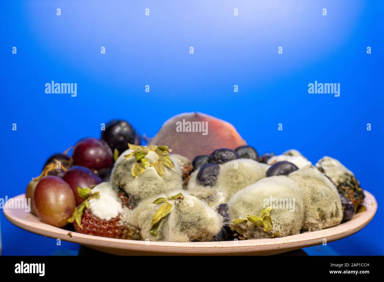 Fruits and berries in a cup rotted and moldy Stock Photo