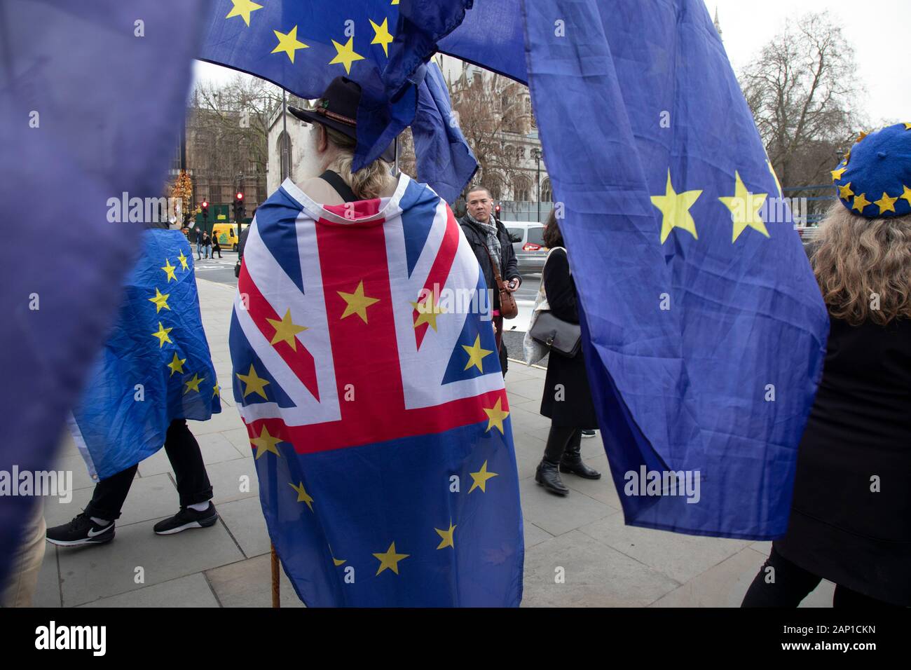 Anti Brexit protesters waving European Union flags in Westminster outside Parliament on 8th January 2020 in London, England, United Kingdom. With a majority Conservative government in power and Brexit day at the end of January looming, the role of these protesters is now to demonstrate in the hope of the softest Brexit deal possible. Stock Photo