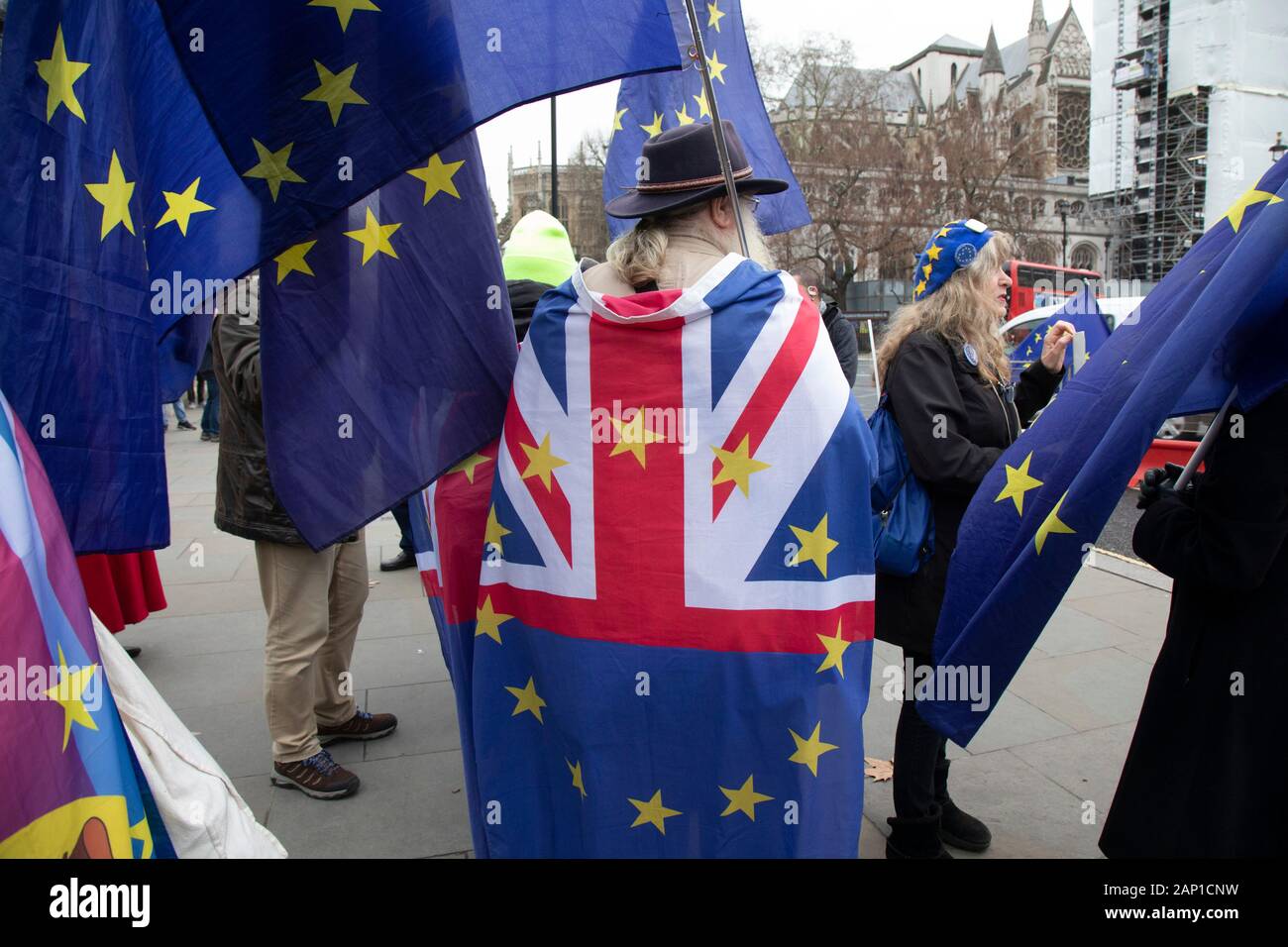 Anti Brexit protesters waving European Union flags in Westminster outside Parliament on 8th January 2020 in London, England, United Kingdom. With a majority Conservative government in power and Brexit day at the end of January looming, the role of these protesters is now to demonstrate in the hope of the softest Brexit deal possible. Stock Photo