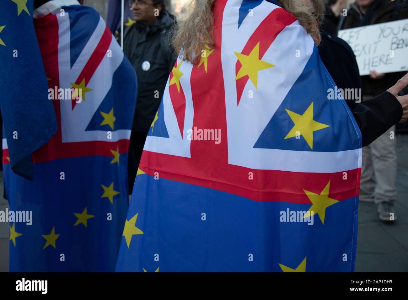 Anti Brexit protesters wearing European Union flags at Westminster outside Parliament on 15th January 2020 in London, England, United Kingdom. With a majority Conservative government in power and Brexit day at the end of January looming, the role of these protesters is now to demonstrate in the hope of the softest Brexit deal possible. Stock Photo