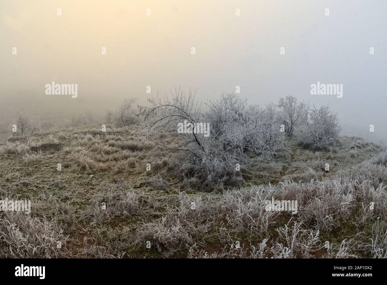 Frosty Winter Morning Landscape With Mist Stock Photo