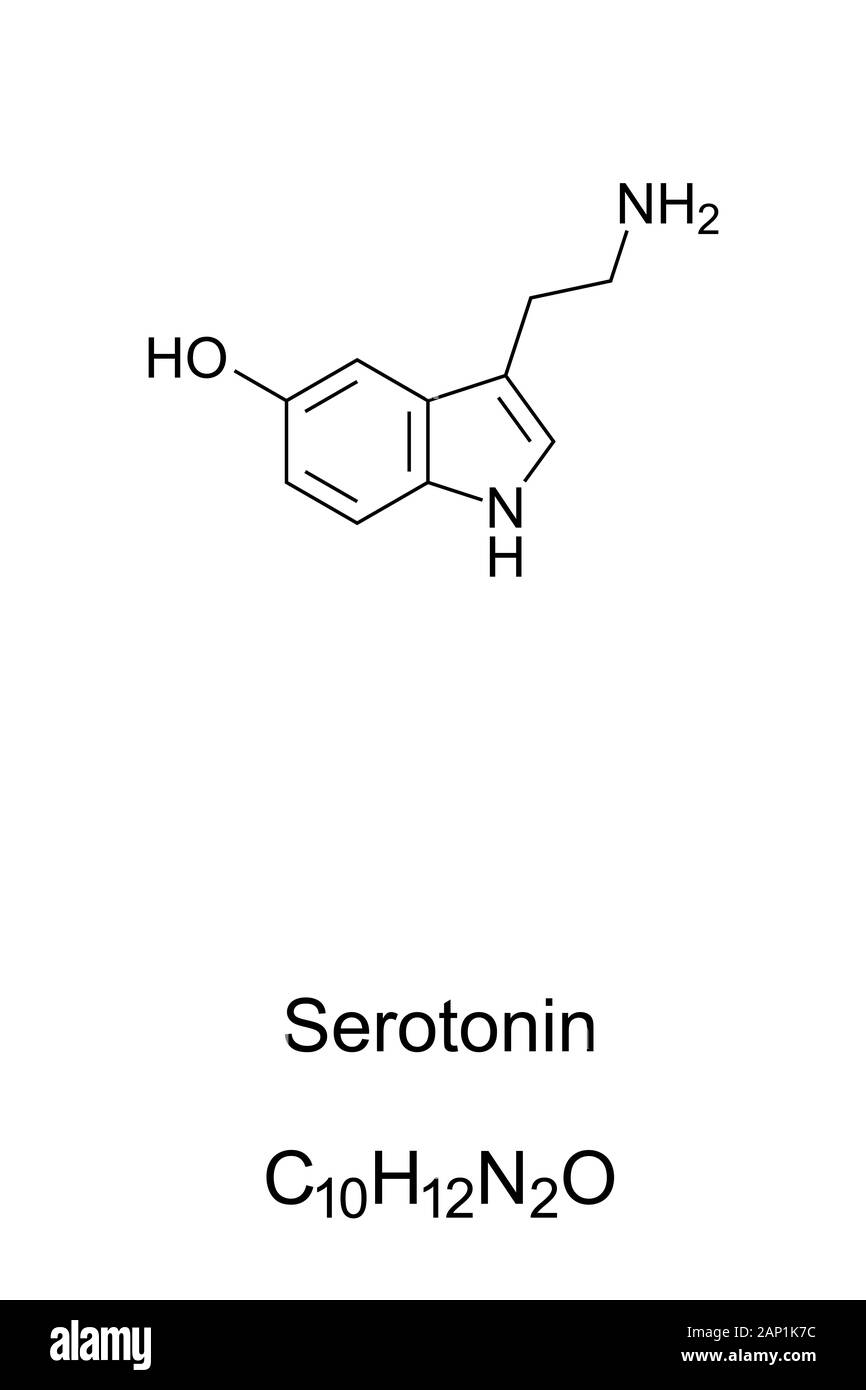 Serotonin molecule, skeletal formula. Structure of C10H12N2O. Monoamine neurotransmitter. Stock Photo