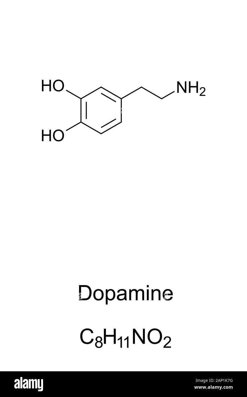 Dopamine molecule, skeletal formula. Structure of DA, C8H11NO2. Hormone and neurotransmitter. Stock Photo